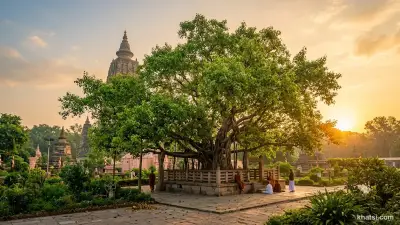 Hình ảnh đại diện Phật Pháp – Tứ Diệu Đế và Bồ-đề tạo nên sự khác biệt căn bản của Phật giáo
